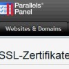 Zertifikat auf Plesk V-Server nach Sicherheitsupdate OpenSSL HEARTBLEED erneuern